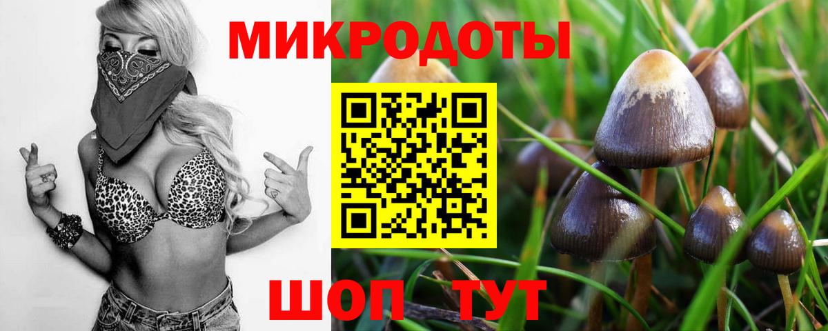 Галлюциногенные грибы ЛСД Великий Новгород